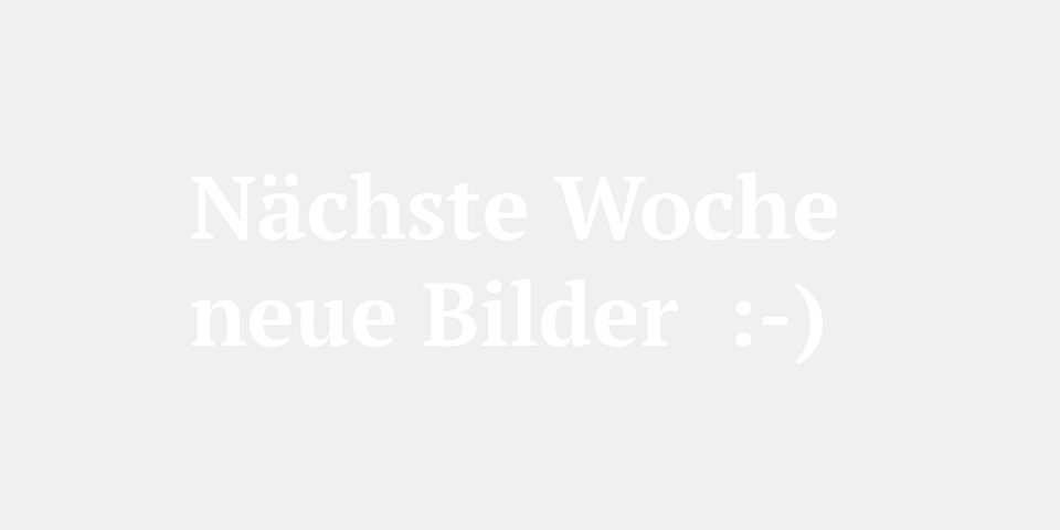 DRWA Das Rudel Werbeagentur Freiburg > Agentur für mediale Kommunikation > Kompetenzen > Print-Design